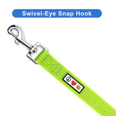 Show full view: Pawtitas Nylon Reflective Dog Leash, Green, X-Small/Small: 6-ft long, 5/8-in wide slide 4 of 9