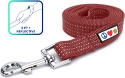 Pawtitas Nylon Reflective Dog Leash, Marsala Brown, X-Small/Small: 6-ft long, 5/8-in wide