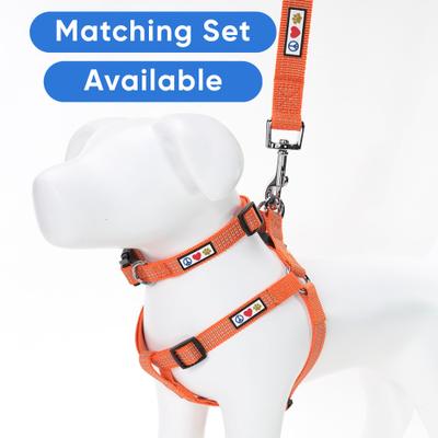 Show full view: Pawtitas Nylon Reflective Dog Leash, Orange, X-Small/Small: 6-ft long, 5/8-in wide slide 5 of 9