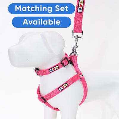 Show full view: Pawtitas Nylon Reflective Dog Leash, Pink, Medium/Large: 6-ft long, 1-in wide slide 5 of 9