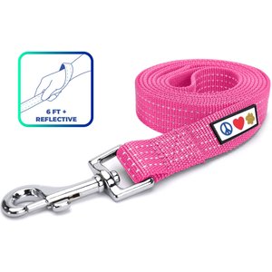 Pawtitas Nylon Reflective Dog Leash, Pink, X-Small/Small: 6-ft long, 5/8-in wide