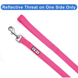 Pawtitas Nylon Reflective Dog Leash, Pink, X-Small/Small: 6-ft long, 5/8-in wide