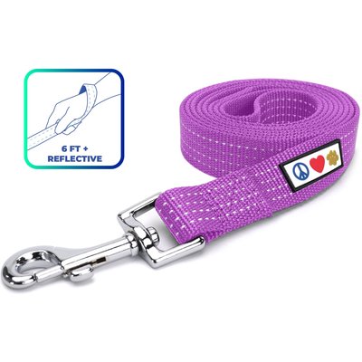 Pawtitas Pawtitas Nylon Reflective Dog Leash, Purple Orchid, Medium/Large: 6-ft long, 1-in wide