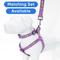 Show in main carousel: Pawtitas Nylon Reflective Dog Leash, Purple Orchid, Medium/Large: 6-ft long, 1-in wide slide 5 of 9