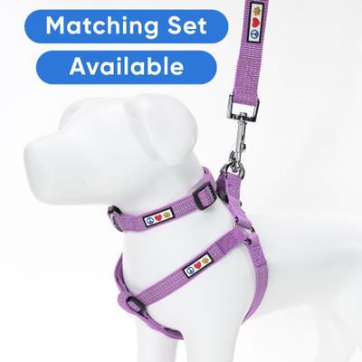 Show full view: Pawtitas Nylon Reflective Dog Leash, Purple Orchid, Medium/Large: 6-ft long, 1-in wide slide 5 of 9