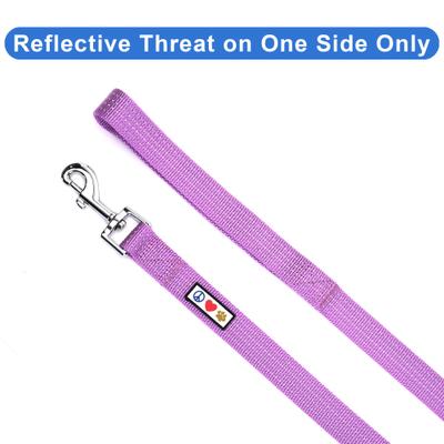 Show full view: Pawtitas Nylon Reflective Dog Leash, Purple Orchid, Medium/Large: 6-ft long, 1-in wide slide 3 of 9