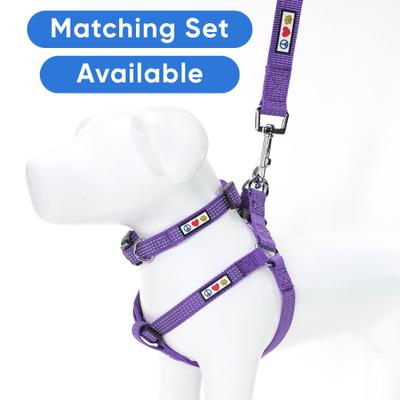 Show full view: Pawtitas Nylon Reflective Dog Leash, Purple, X-Small/Small: 6-ft long, 5/8-in wide slide 5 of 9