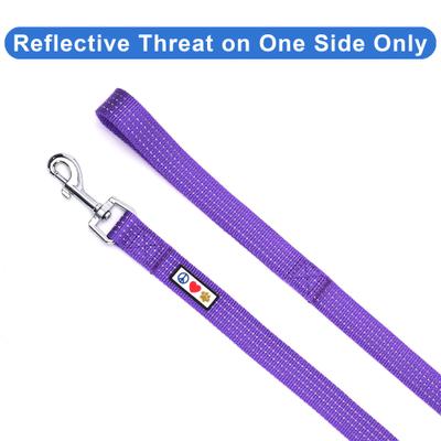 Show full view: Pawtitas Nylon Reflective Dog Leash, Purple, X-Small/Small: 6-ft long, 5/8-in wide slide 3 of 9