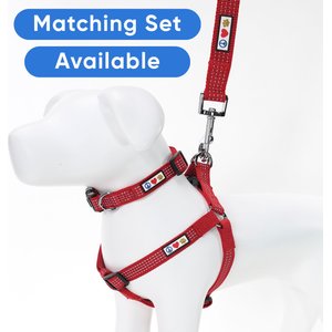 Pawtitas Nylon Reflective Dog Leash, Red, Medium/Large: 6-ft long, 1-in wide
