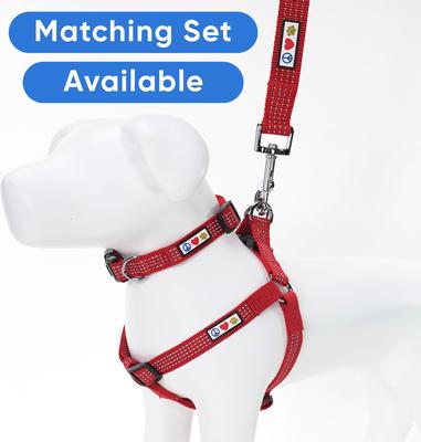 Show full view: Pawtitas Nylon Reflective Dog Leash, Red, Medium/Large: 6-ft long, 1-in wide slide 5 of 9