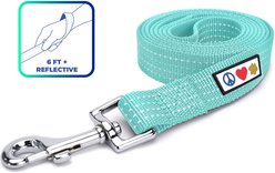 Pawtitas Nylon Reflective Dog Leash, Teal, Medium/Large: 6-ft long, 1-in wide
