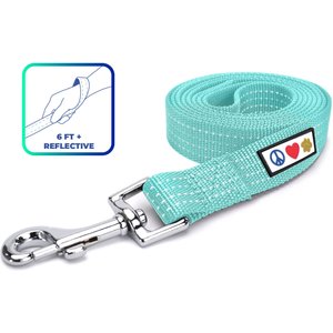 Pawtitas Nylon Reflective Dog Leash, Teal, Medium/Large: 6-ft long, 1-in wide