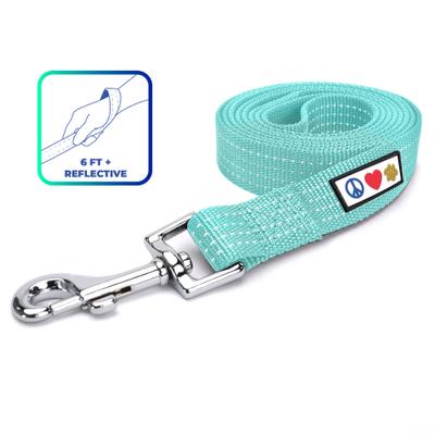 Show full view: Pawtitas Nylon Reflective Dog Leash, Teal, Medium/Large: 6-ft long, 1-in wide slide 1 of 9