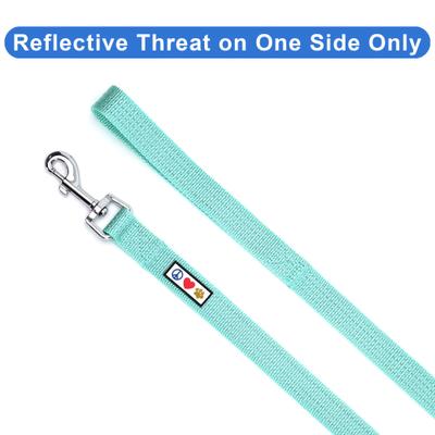 Show full view: Pawtitas Nylon Reflective Dog Leash, Teal, Medium/Large: 6-ft long, 1-in wide slide 3 of 9