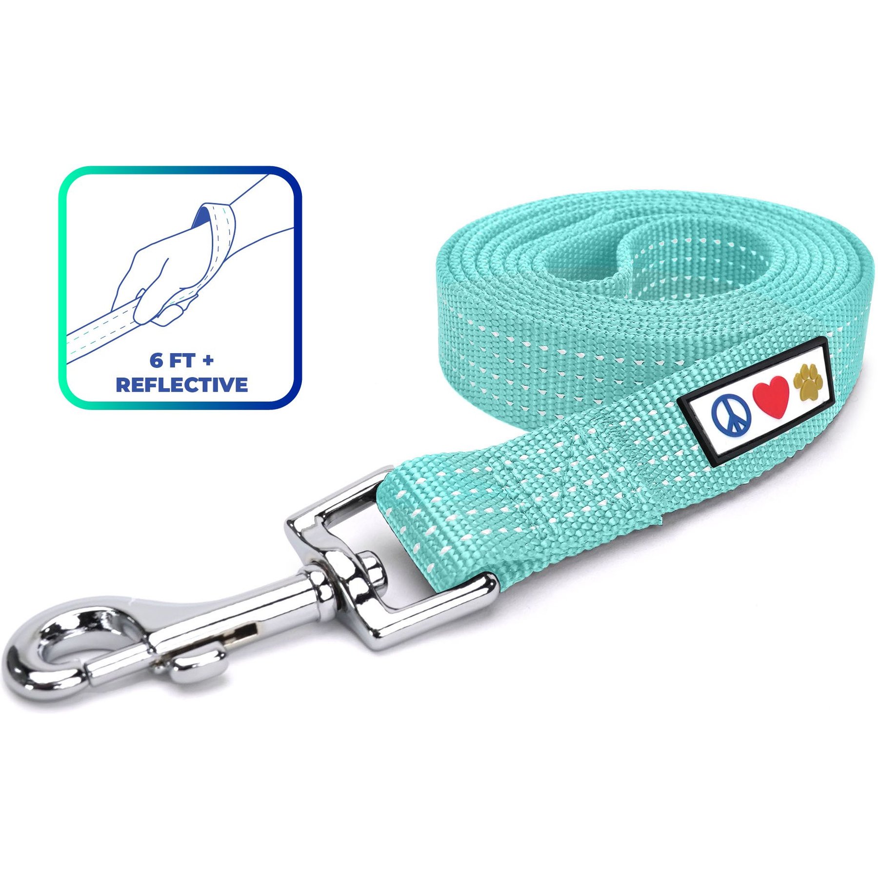 Pawtitas Nylon Reflective Dog Leash, Teal, X-Small/Small: 6-ft long, 5/8-in wide