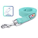 Pawtitas Nylon Reflective Dog Leash, Teal, X-Small/Small: 6-ft long, 5/8-in wide