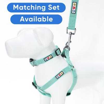 Show full view: Pawtitas Nylon Reflective Dog Leash, Teal, X-Small/Small: 6-ft long, 5/8-in wide slide 6 of 10