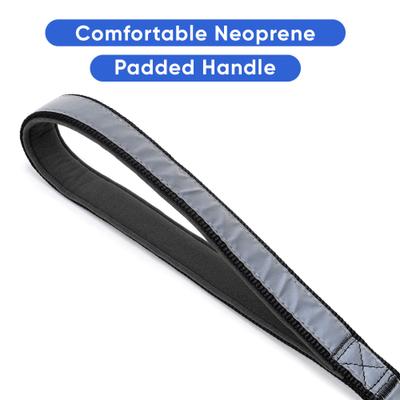 Show full view: Pawtitas Nylon Reflective Padded Dog Leash, Black, Medium/Large: 6-ft long, 1-in wide slide 4 of 11