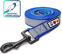 Pawtitas Nylon Reflective Padded Dog Leash, Blue, Medium/Large: 6-ft long, 1-in wide