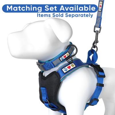 Show full view: Pawtitas Nylon Reflective Padded Dog Leash, Blue, Medium/Large: 6-ft long, 1-in wide slide 7 of 12