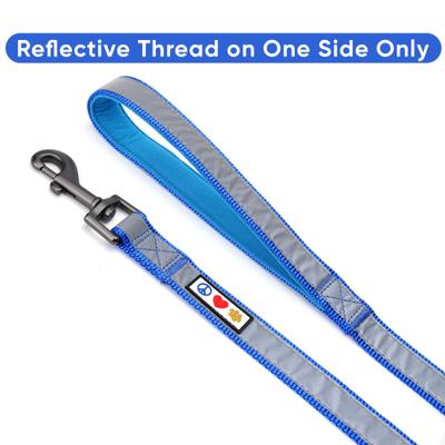 Show full view: Pawtitas Nylon Reflective Padded Dog Leash, Blue, X-Small/Small: 6-ft long, 5/8-in wide slide 3 of 11