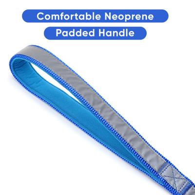 Show full view: Pawtitas Nylon Reflective Padded Dog Leash, Blue, X-Small/Small: 6-ft long, 5/8-in wide slide 4 of 11