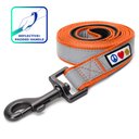 Pawtitas Nylon Reflective Padded Dog Leash, Orange, Medium/Large: 6-ft long, 1-in wide