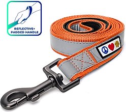 Pawtitas Nylon Reflective Padded Dog Leash, Orange, X-Small/Small: 6-ft long, 5/8-in wide