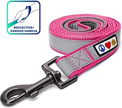 Pawtitas Nylon Reflective Padded Dog Leash, Pink, X-Small/Small: 6-ft long, 5/8-in wide