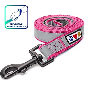Pawtitas Nylon Reflective Padded Dog Leash, Pink, X-Small/Small: 6-ft long, 5/8-in wide