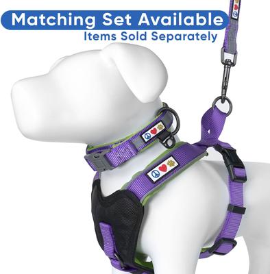 Show full view: Pawtitas Nylon Reflective Padded Dog Leash, Purple, Medium/Large: 6-ft long, 1-in wide slide 6 of 11