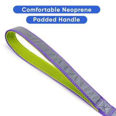 Show full view: Pawtitas Nylon Reflective Padded Dog Leash, Purple, Medium/Large: 6-ft long, 1-in wide slide 4 of 11