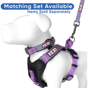 Pawtitas Nylon Reflective Padded Dog Leash, Purple Orchid, Medium/Large: 6-ft long, 1-in wide