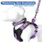 Show in main carousel: Pawtitas Nylon Reflective Padded Dog Leash, Purple Orchid, Medium/Large: 6-ft long, 1-in wide slide 6 of 11