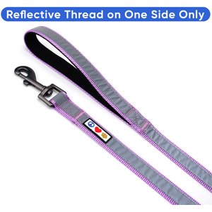 Pawtitas Nylon Reflective Padded Dog Leash, Purple Orchid, Medium/Large: 6-ft long, 1-in wide