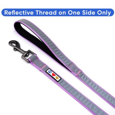 Show full view: Pawtitas Nylon Reflective Padded Dog Leash, Purple Orchid, Medium/Large: 6-ft long, 1-in wide slide 3 of 11