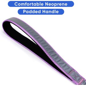 Pawtitas Nylon Reflective Padded Dog Leash, Purple Orchid, Medium/Large: 6-ft long, 1-in wide