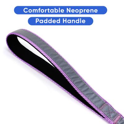 Show full view: Pawtitas Nylon Reflective Padded Dog Leash, Purple Orchid, X-Small/Small: 6-ft long, 5/8-in wide slide 4 of 11