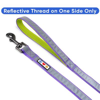 Show full view: Pawtitas Nylon Reflective Padded Dog Leash, Purple, X-Small/Small: 6-ft long, 5/8-in wide slide 3 of 11