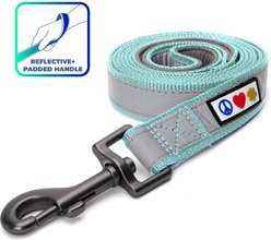 Pawtitas Nylon Reflective Padded Dog Leash, Teal, Medium/Large: 6-ft long, 1-in wide