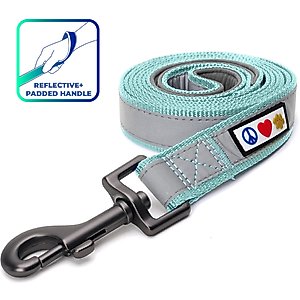 Pawtitas Nylon Reflective Padded Dog Leash, Teal, Medium/Large: 6-ft long, 1-in wide