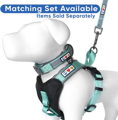 Show full view: Pawtitas Nylon Reflective Padded Dog Leash, Teal, Medium/Large: 6-ft long, 1-in wide slide 6 of 11