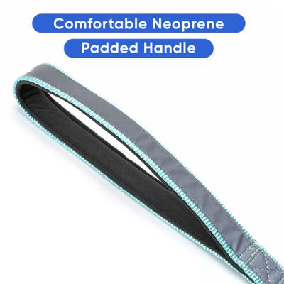 Show full view: Pawtitas Nylon Reflective Padded Dog Leash, Teal, Medium/Large: 6-ft long, 1-in wide slide 4 of 11