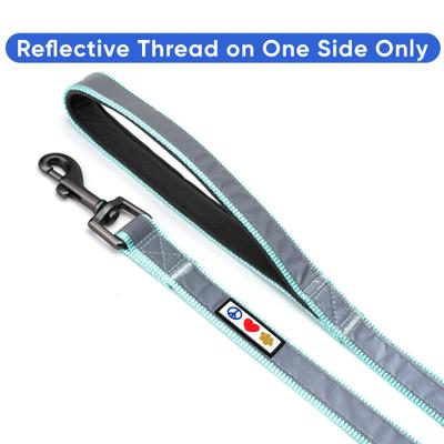 Show full view: Pawtitas Nylon Reflective Padded Dog Leash, Teal, Medium/Large: 6-ft long, 1-in wide slide 3 of 11