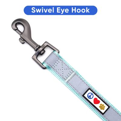 Show full view: Pawtitas Nylon Reflective Padded Dog Leash, Teal, Medium/Large: 6-ft long, 1-in wide slide 5 of 11