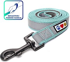 Pawtitas Nylon Reflective Padded Dog Leash, Teal, X-Small/Small: 6-ft long, 5/8-in wide