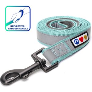 Pawtitas Nylon Reflective Padded Dog Leash, Teal, X-Small/Small: 6-ft long, 5/8-in wide