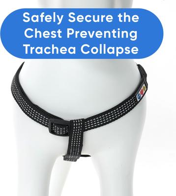 Show full view: Pawtitas Nylon Reflective Step In Back Clip Dog Harness, Black, Large: 24 to 33-in chest slide 5 of 11