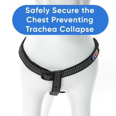 Show full view: Pawtitas Nylon Reflective Step In Back Clip Dog Harness, Black, Small: 15 to 22-in chest slide 6 of 12