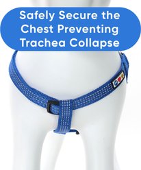 Pawtitas Nylon Reflective Step In Back Clip Dog Harness, Blue, Medium: 20 to 28-in chest slide 2 of 7